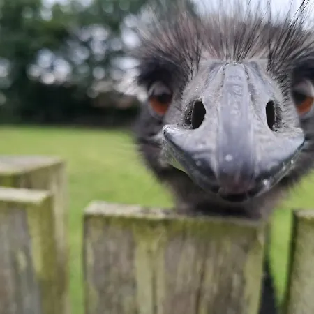 شقة Escape To A Cumbrian Countryside Retreat