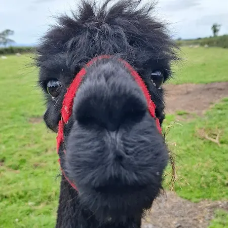 Escape To A Cumbrian Countryside Retreat شقة *