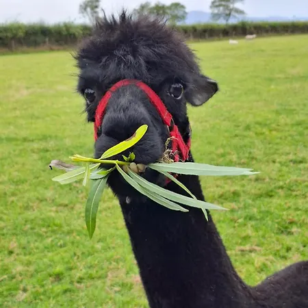 Escape To A Cumbrian Countryside Retreat ويغتون