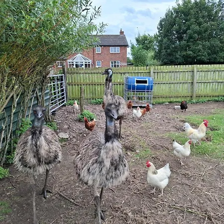 شقة Escape To A Cumbrian Countryside Retreat *