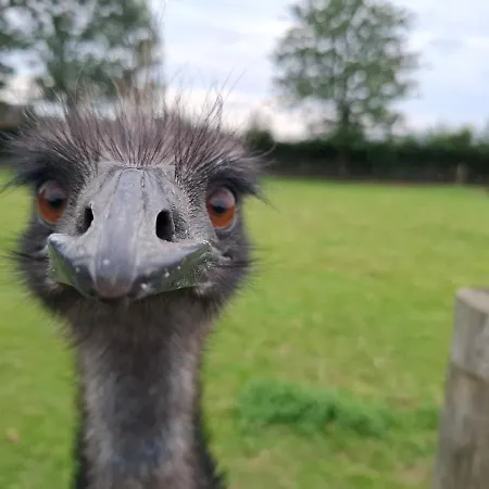 Escape To A Cumbrian Countryside Retreat